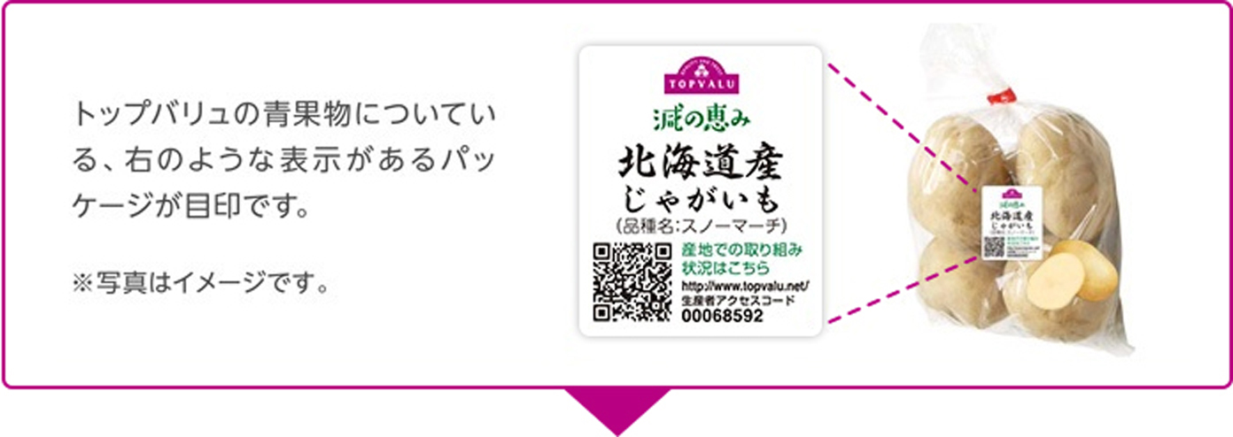 まずはお近くのイオンのお店に行ってみよう。