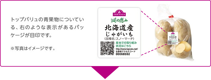 まずはお近くのイオンのお店に行ってみよう。